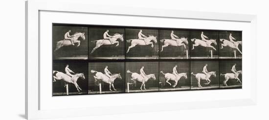 Man and horse jumping a fence, plate 643 from 'Animal Locomotion', 1887-Eadweard Muybridge-Framed Giclee Print