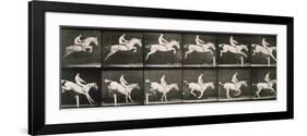 Man and horse jumping a fence, plate 643 from 'Animal Locomotion', 1887-Eadweard Muybridge-Framed Giclee Print