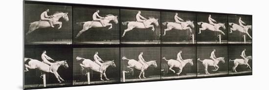 Man and horse jumping a fence, plate 643 from 'Animal Locomotion', 1887-Eadweard Muybridge-Mounted Giclee Print