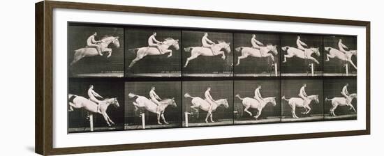 Man and horse jumping a fence, plate 643 from 'Animal Locomotion', 1887-Eadweard Muybridge-Framed Giclee Print