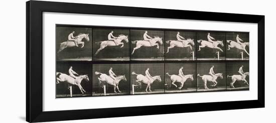 Man and horse jumping a fence, plate 643 from 'Animal Locomotion', 1887-Eadweard Muybridge-Framed Giclee Print