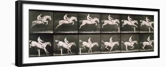 Man and horse jumping a fence, plate 643 from 'Animal Locomotion', 1887-Eadweard Muybridge-Framed Giclee Print