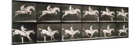 Man and horse jumping a fence, plate 643 from 'Animal Locomotion', 1887-Eadweard Muybridge-Mounted Giclee Print