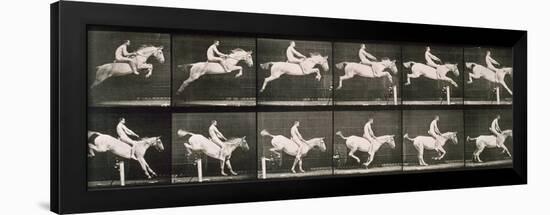 Man and horse jumping a fence, plate 643 from 'Animal Locomotion', 1887-Eadweard Muybridge-Framed Giclee Print