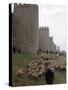 Man and sheep Surrounding Avila, Rebuilt by Alfonso VI in 1090 Ad, 9 Gate Entrance to the City-Eliot Elisofon-Stretched Canvas