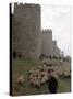 Man and sheep Surrounding Avila, Rebuilt by Alfonso VI in 1090 Ad, 9 Gate Entrance to the City-Eliot Elisofon-Stretched Canvas