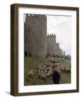 Man and sheep Surrounding Avila, Rebuilt by Alfonso VI in 1090 Ad, 9 Gate Entrance to the City-Eliot Elisofon-Framed Photographic Print