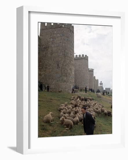 Man and sheep Surrounding Avila, Rebuilt by Alfonso VI in 1090 Ad, 9 Gate Entrance to the City-Eliot Elisofon-Framed Photographic Print