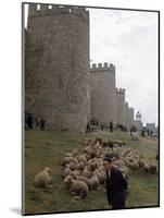 Man and sheep Surrounding Avila, Rebuilt by Alfonso VI in 1090 Ad, 9 Gate Entrance to the City-Eliot Elisofon-Mounted Photographic Print