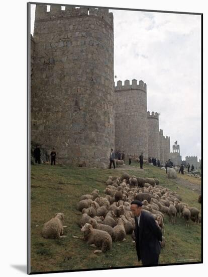 Man and sheep Surrounding Avila, Rebuilt by Alfonso VI in 1090 Ad, 9 Gate Entrance to the City-Eliot Elisofon-Mounted Photographic Print