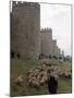 Man and sheep Surrounding Avila, Rebuilt by Alfonso VI in 1090 Ad, 9 Gate Entrance to the City-Eliot Elisofon-Mounted Photographic Print