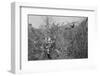 Man and Son Looking at Pheasant-Philip Gendreau-Framed Photographic Print