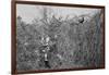 Man and Son Looking at Pheasant-Philip Gendreau-Framed Photographic Print