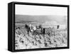 Man and Woman Farming-null-Framed Stretched Canvas