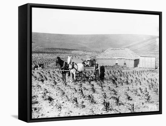 Man and Woman Farming-null-Framed Stretched Canvas