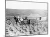 Man and Woman Farming-null-Mounted Photographic Print