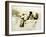 Man and Woman Making Love, Plate 2 of Liebe-Mihaly von Zichy-Framed Giclee Print