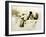 Man and Woman Making Love, Plate 2 of Liebe-Mihaly von Zichy-Framed Giclee Print