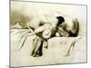 Man and Woman Making Love, Plate 2 of Liebe-Mihaly von Zichy-Mounted Giclee Print