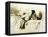 Man and Woman Making Love, Plate 2 of Liebe-Mihaly von Zichy-Framed Stretched Canvas