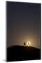 Man and Woman Practice Yoga in Front of a Full Moon in Grand Canyon National Park, Arizona-Louis Arevalo-Mounted Photographic Print