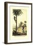 Man Ascending a Palm Tree for Its Wine-null-Framed Art Print