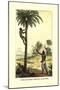 Man Ascending a Palm Tree for Its Wine-null-Mounted Art Print