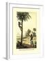 Man Ascending a Palm Tree for Its Wine-null-Framed Art Print