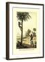 Man Ascending a Palm Tree for Its Wine-null-Framed Art Print