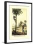 Man Ascending a Palm Tree for Its Wine-null-Framed Art Print