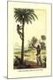 Man Ascending a Palm Tree for Its Wine-null-Mounted Art Print