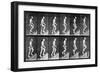 Man Ascending Stairs, from 'Animal Locomotion', 1887 (B/W Photo)-Eadweard Muybridge-Framed Giclee Print