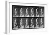 Man Ascending Stairs, from 'Animal Locomotion', 1887 (B/W Photo)-Eadweard Muybridge-Framed Giclee Print