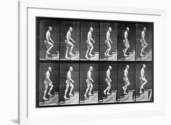 Man Ascending Stairs, from 'Animal Locomotion', 1887 (B/W Photo)-Eadweard Muybridge-Framed Giclee Print