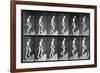 Man Ascending Stairs, from 'Animal Locomotion', 1887 (B/W Photo)-Eadweard Muybridge-Framed Giclee Print