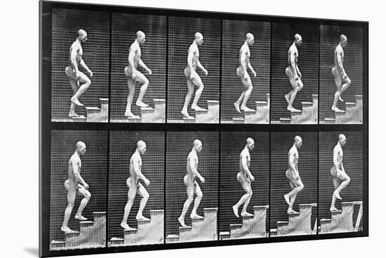 Man Ascending Stairs, from 'Animal Locomotion', 1887 (B/W Photo)-Eadweard Muybridge-Mounted Giclee Print