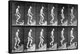 Man Ascending Stairs, from 'Animal Locomotion', 1887 (B/W Photo)-Eadweard Muybridge-Stretched Canvas