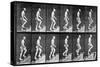 Man Ascending Stairs, from 'Animal Locomotion', 1887 (B/W Photo)-Eadweard Muybridge-Stretched Canvas