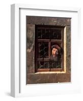 Man at a Window, 1653-Samuel van Hoogstraten-Framed Giclee Print