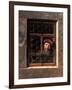 Man at a Window, 1653-Samuel van Hoogstraten-Framed Giclee Print