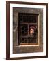 Man at a Window, 1653-Samuel van Hoogstraten-Framed Giclee Print