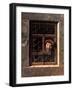 Man at a Window, 1653-Samuel van Hoogstraten-Framed Giclee Print