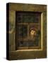 Man at the window-Samuel van Hoogstraten-Stretched Canvas