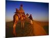 Man Atop Camel, Thar Desert, Rajasthan, India-Peter Adams-Mounted Photographic Print