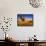 Man Atop Camel, Thar Desert, Rajasthan, India-Peter Adams-Framed Stretched Canvas displayed on a wall