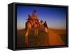 Man Atop Camel, Thar Desert, Rajasthan, India-Peter Adams-Framed Stretched Canvas