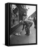 Man Bending over to Touch Cat Sitting on Sidewalk-Nina Leen-Framed Stretched Canvas