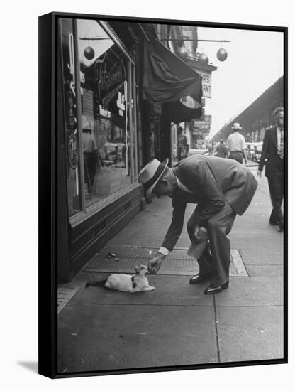 Man Bending over to Touch Cat Sitting on Sidewalk-Nina Leen-Framed Stretched Canvas