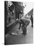 Man Bending over to Touch Cat Sitting on Sidewalk-Nina Leen-Stretched Canvas