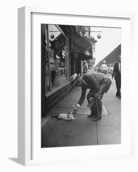 Man Bending over to Touch Cat Sitting on Sidewalk-Nina Leen-Framed Premium Photographic Print